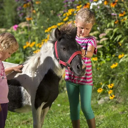 Appartements Gut Berg Appartamento *