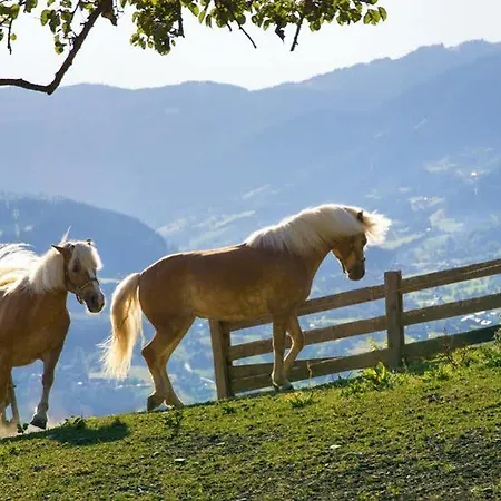 Appartements Gut Berg شقة *