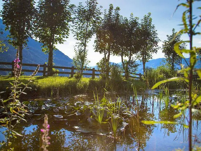 Lejlighed Appartements Gut Berg *