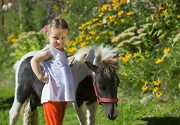 Appartements Gut Berg