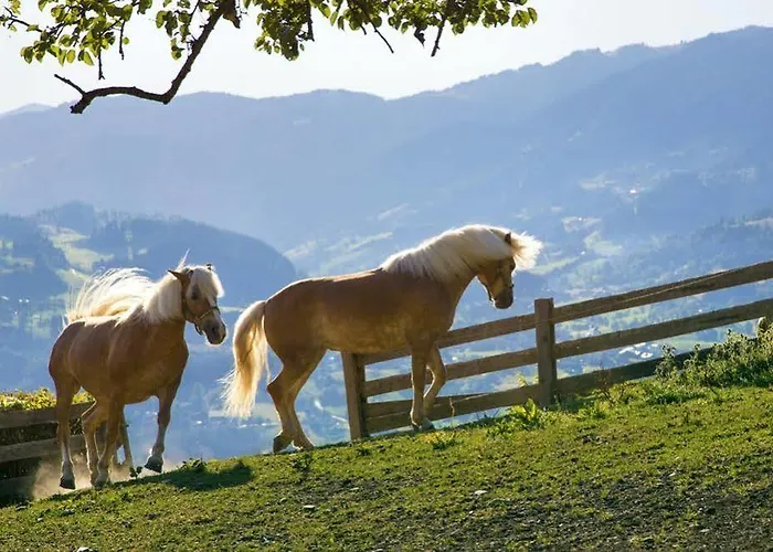 Appartements Gut Berg Lejlighed *